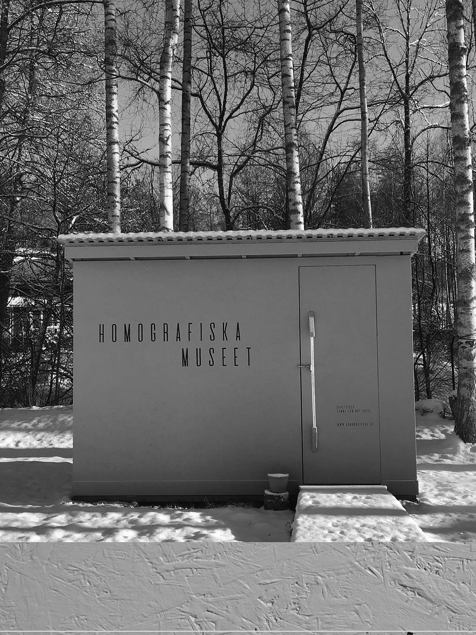 Homografiska_artist_avatar_image